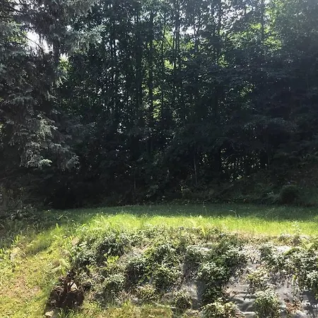 Tatil Evi U Bociana Tresna